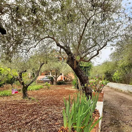 Apartman Trilocale Serra Li Lioni - *