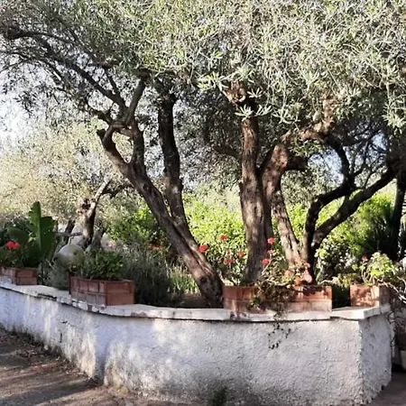 Apartment Trilocale Serra Li Lioni - Sassari