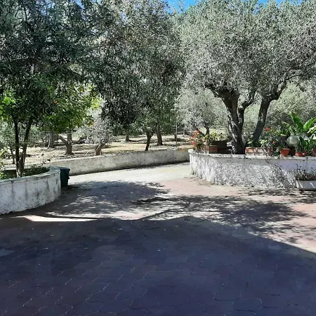 Apartment Trilocale Serra Li Lioni -